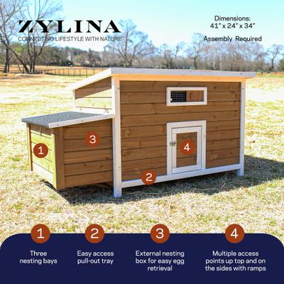 Show full view: Zylina Nesting & Roosting Box with Outer Egg Box slide 2 of 9