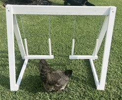 Zylina Play-N-Roost Bird Double Swing, 36x20-in slide 1 of 8