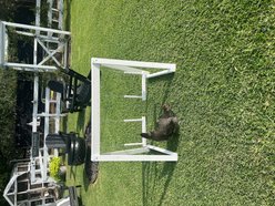 Zylina Play-N-Roost Bird Double Swing, 36x20-in slide 2 of 8