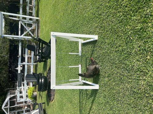 Show full view: Zylina Play-N-Roost Bird Double Swing, 36x20-in slide 7 of 8