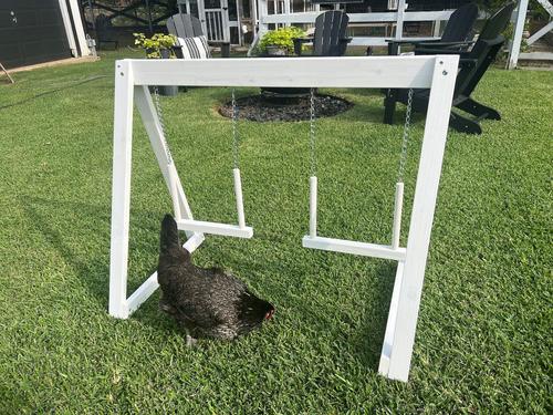 Show full view: Zylina Play-N-Roost Bird Double Swing, 36x20-in slide 3 of 8