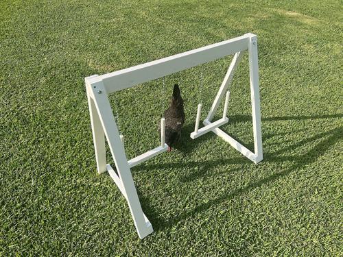 Show full view: Zylina Play-N-Roost Bird Double Swing, 36x20-in slide 6 of 8