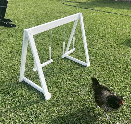 Show full view: Zylina Play-N-Roost Bird Double Swing, 36x20-in slide 4 of 8