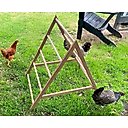 Zylina Play-N-Roost Chick Activity Center