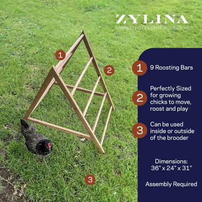 Show full view: Zylina Play-N-Roost Chick Activity Center slide 2 of 9
