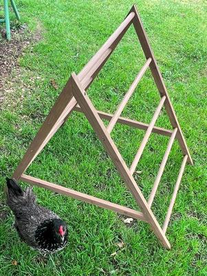 Show full view: Zylina Play-N-Roost Chick Activity Center slide 3 of 9