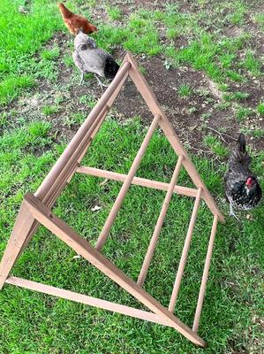 Show full view: Zylina Play-N-Roost Chick Activity Center slide 4 of 9