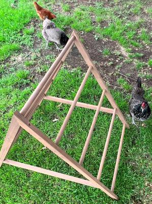 Show full view: Zylina Play-N-Roost Chick Activity Center slide 8 of 9