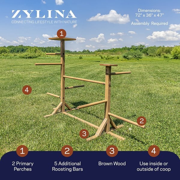 Zylina Play-N-Roost Double Roosting Perch