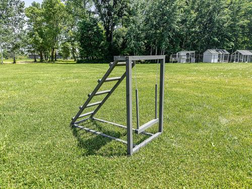 Show full view: Zylina Play-N-Roost Roosting Ladder & Swing Bird Toy slide 5 of 9