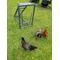 Show in main carousel: Zylina Play-N-Roost Roosting Ladder & Swing Bird Toy slide 8 of 9