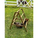 Zylina Play-N-Roost Roosting Ladder