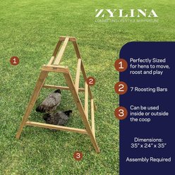 Zylina Play-N-Roost Roosting Ladder slide 2 of 9