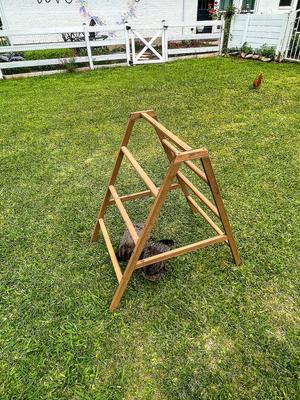 Show full view: Zylina Play-N-Roost Roosting Ladder slide 4 of 9