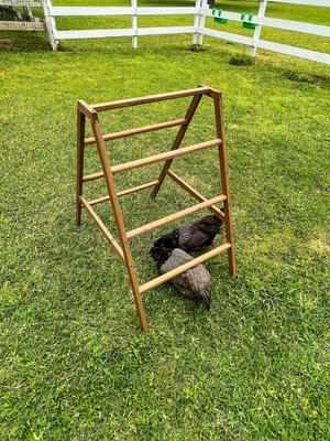 Show full view: Zylina Play-N-Roost Roosting Ladder slide 5 of 9