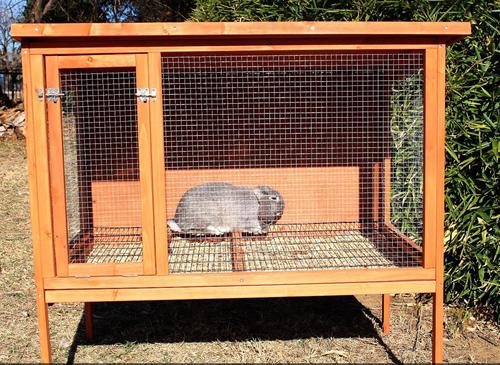Show full view: Zylina Rabbit Hutch slide 3 of 10
