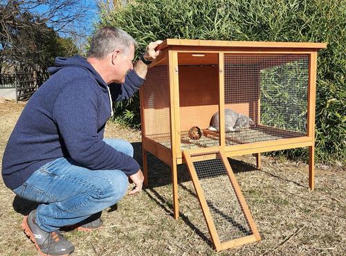 Show full view: Zylina Rabbit Hutch slide 6 of 10