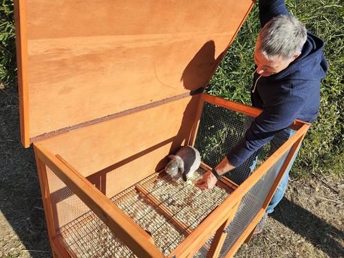 Show full view: Zylina Rabbit Hutch slide 7 of 10