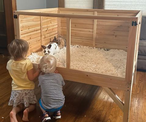 Show full view: Zylina Raised House Small Pet Habitat, Natural Wood, 48 x 40 x 40in slide 3 of 10