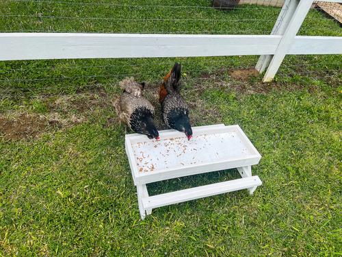 Show full view: Zylina Snack-n-Feed Picnic Table slide 4 of 9