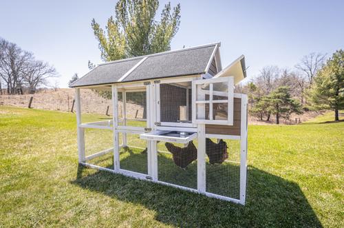 Show full view: Zylina Superior Hen House slide 5 of 9