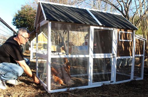 Show full view: Zylina Superior Hen House slide 6 of 9