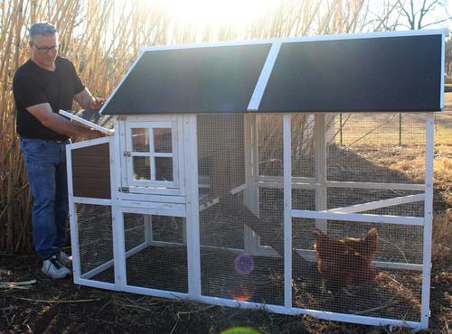 Show full view: Zylina Superior Hen House slide 7 of 9