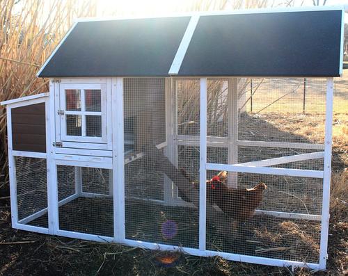 Show full view: Zylina Superior Hen House slide 8 of 9