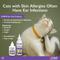 Show in main carousel: Zymox Enzymatic Cat & Kitten Topical Cream with 0.5% Hydrocortisone, 1-fl oz tube slide 5 of 7