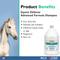 Show in main carousel: Zymox Equine Defense Advanced Formula Horse Shampoo, 128-fl oz bottle slide 2 of 7