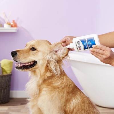 Show full view: Zymox Otic Dog & Cat Ear Infection Treatment with Hydrocortisone, 8-fl oz bottle slide 3 of 11