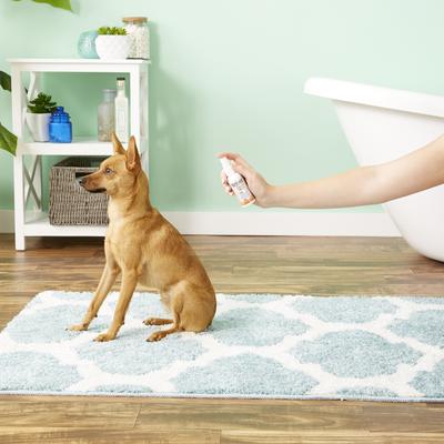 Show full view: Zymox Topical Dog & Cat Spray, 2-fl oz bottle slide 4 of 10