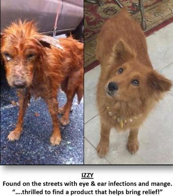 Show full view: Zymox Veterinary Strength Enzymatic Dog & Cat Leave-on Conditioner, 1-gal bottle slide 6 of 11