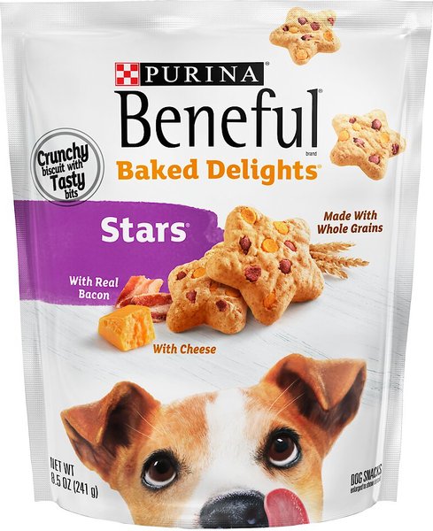 Beneful chewy dog food best sale