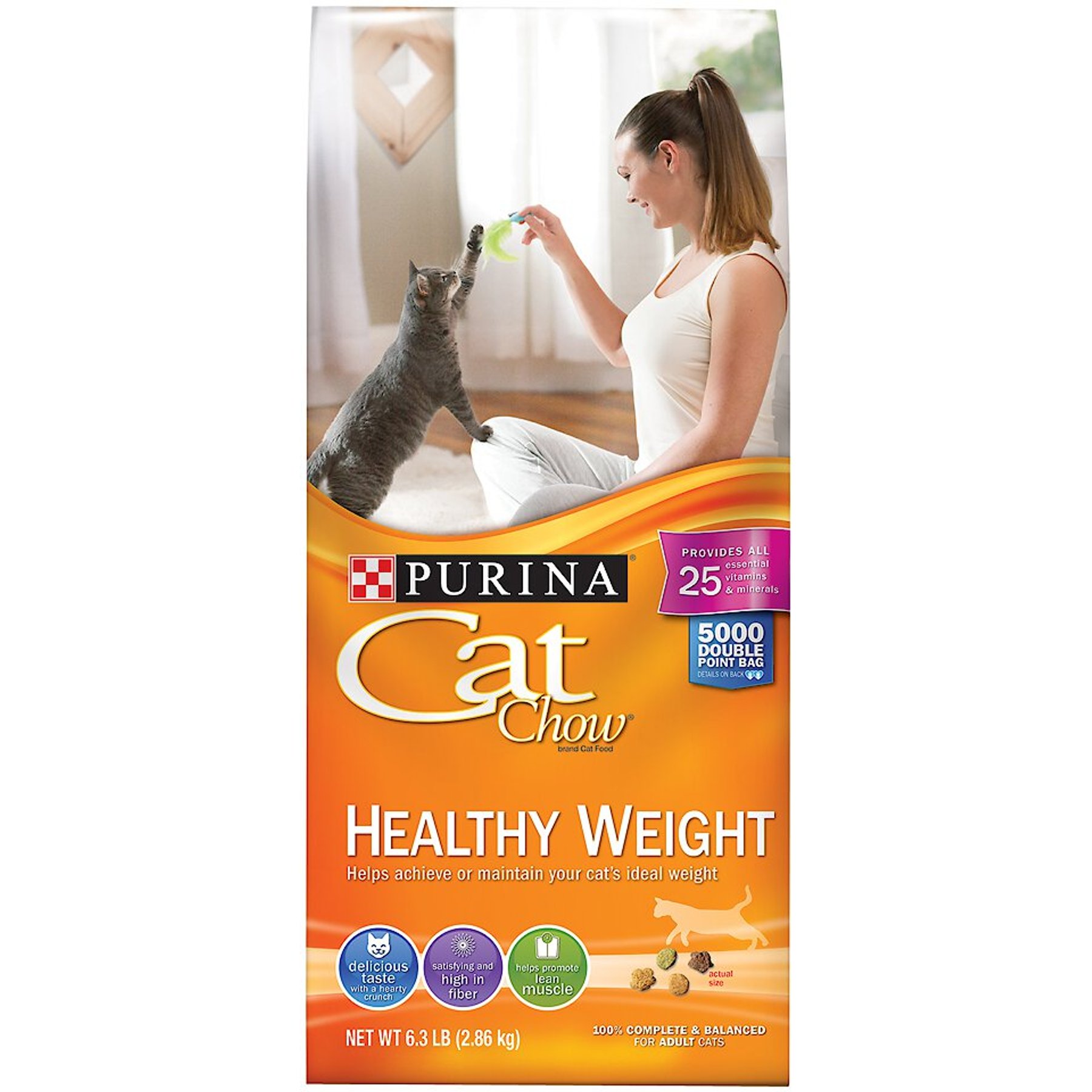 Discontinued CAT CHOW Healthy Weight Dry Cat Food 3.15 lb bag Chewy