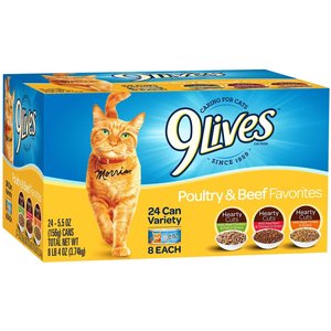 9 LIVES Indoor Complete with Chicken Salmon Flavor Dry Cat Food