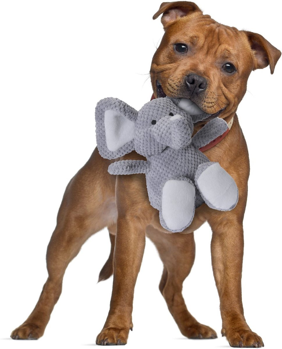 Stuffed elephant dog sale toy