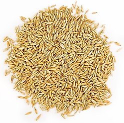Petlinks Nibble-Licious Organic Cat Grass Seeds, 5-oz bag slide 2 of 2
