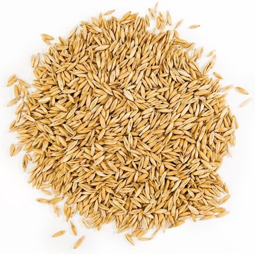 Petlinks Nibble-Licious Organic Cat Grass Seeds, 5-oz bag