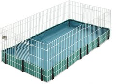 MidWest Guinea Habitat Guinea Pig Home, Regular