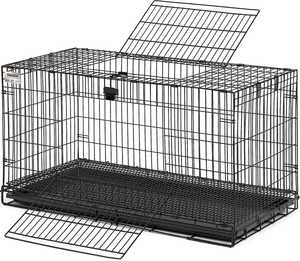 Rabbit cage chewy best sale