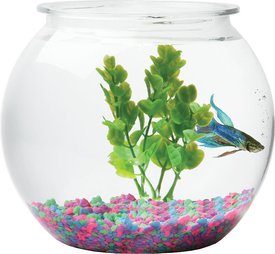 Mini Acrylic Aquarium Transparent Fish Keeper Fishbowl Portable