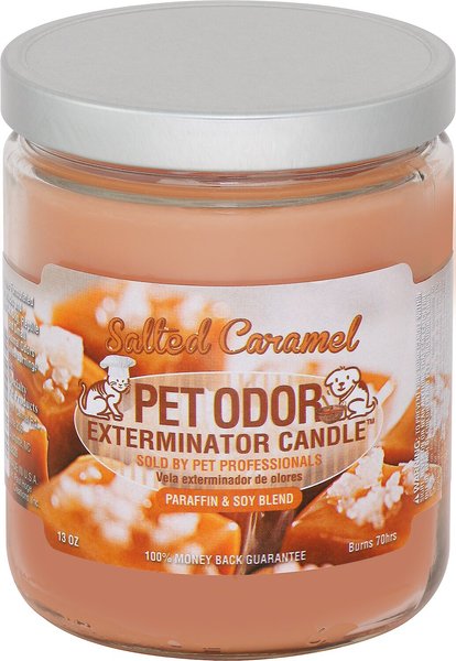 Chewy pet odor candle sale