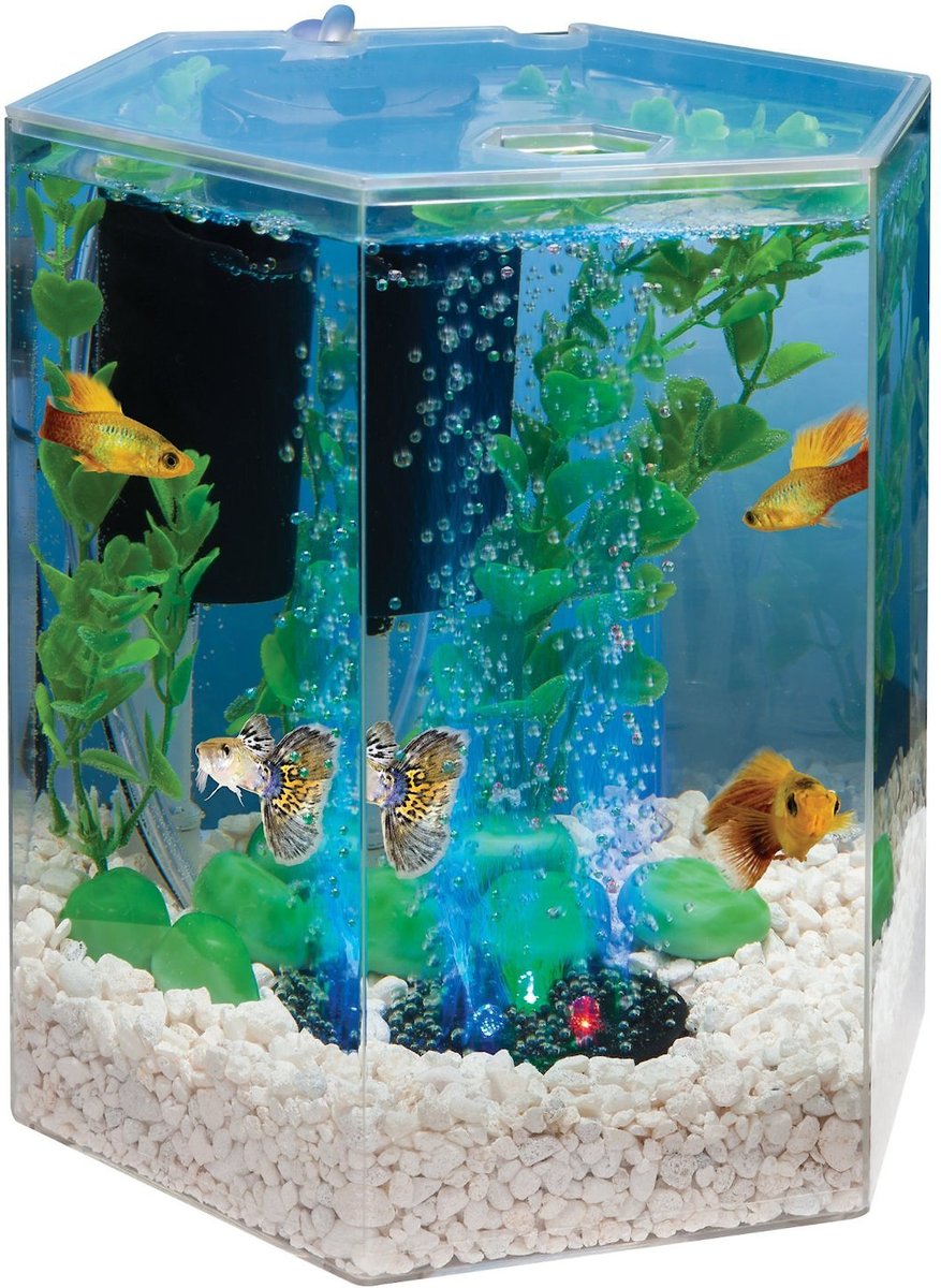 TETRA Hexagon Aquarium Kit with LED Bubbler, 1-gal - Chewy.com