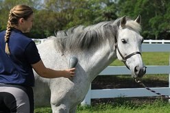 Oster Equine Care Stiff Grooming Horse Brush, Blue slide 2 of 3