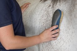 Oster Equine Care Soft Grooming Horse Brush, Blue slide 2 of 5
