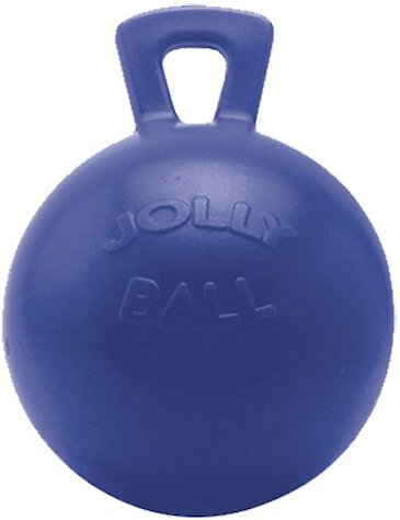 Horsemen's Pride Jolly Ball Horse Toy, Blue, 10-in slide 1 of 2