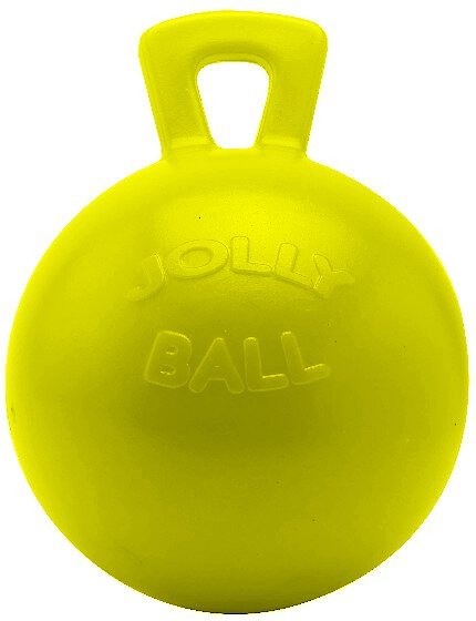 Jolly ball chewy hotsell