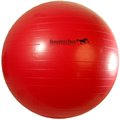  Sapbontchi Herding Ball for Dogs, 25 Horse Ball, Jolly Ball  for Horses, Large Dog Balls