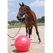 Discontinued - HORSEMEN'S PRIDE Mega Ball Horse Toy, Red, 25-in - Chewy.com